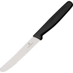 Forschner 50833SX2 Stainless Serrated Edge, Blade Steak Kitchen Knife With Nylon Handle