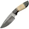 Damascus 1085 White Bone Fixed Damascus Steel Blade Knife With White Smooth Bone Handles -Buck Knives Shop 196436 196465
