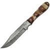 Damascus 1108 Hunter Fixed Damascus Steel Clip Point Blade Knife With Stag And Wood Handles -Buck Knives Shop 201415 201444