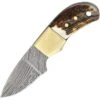 Fox-N-Hound Knives 121 Mini Skinner Damascus -Buck Knives Shop 248859 248864