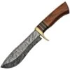 Damascus 1217 Large Hunter Wood -Buck Knives Shop 258604 258609