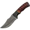 Damascus 1288 Fixed Blade Wood -Buck Knives Shop 312603 312608