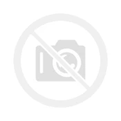 Solingen B002 Paring Knife